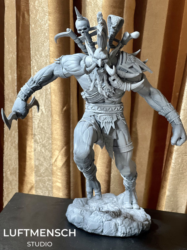 VOLJIN